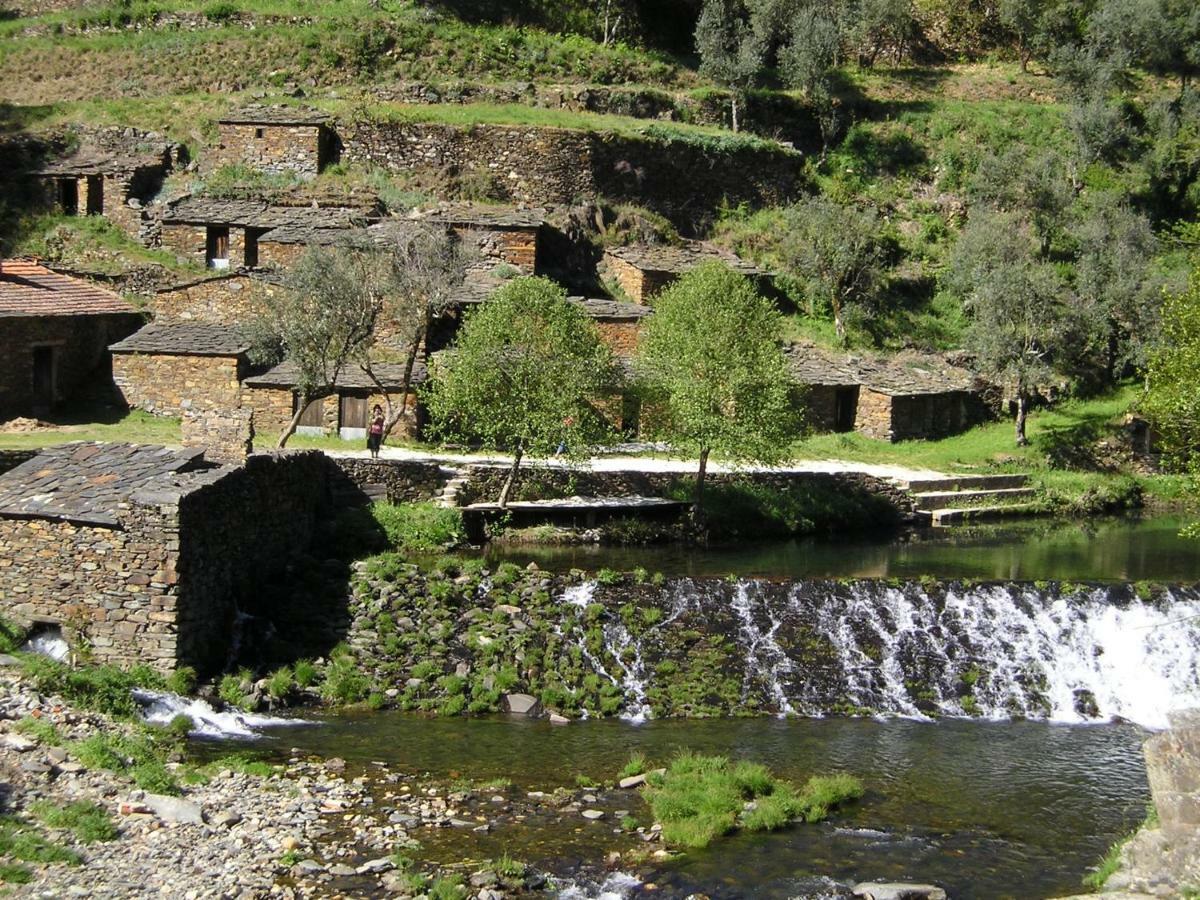 A Charming , Traditional Cottage At Quinta Da Ribeira Vila Nova de Poiares Extérieur photo