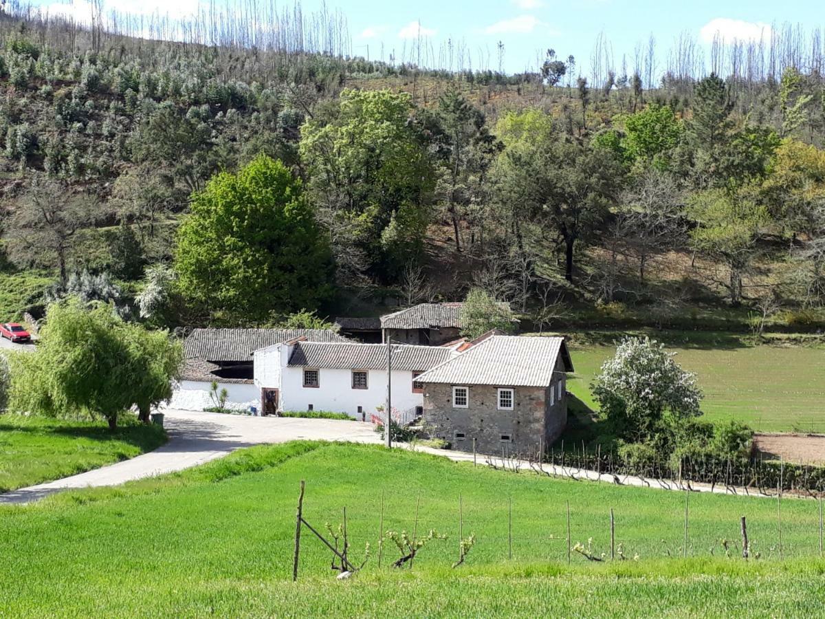 A Charming , Traditional Cottage At Quinta Da Ribeira Vila Nova de Poiares Extérieur photo