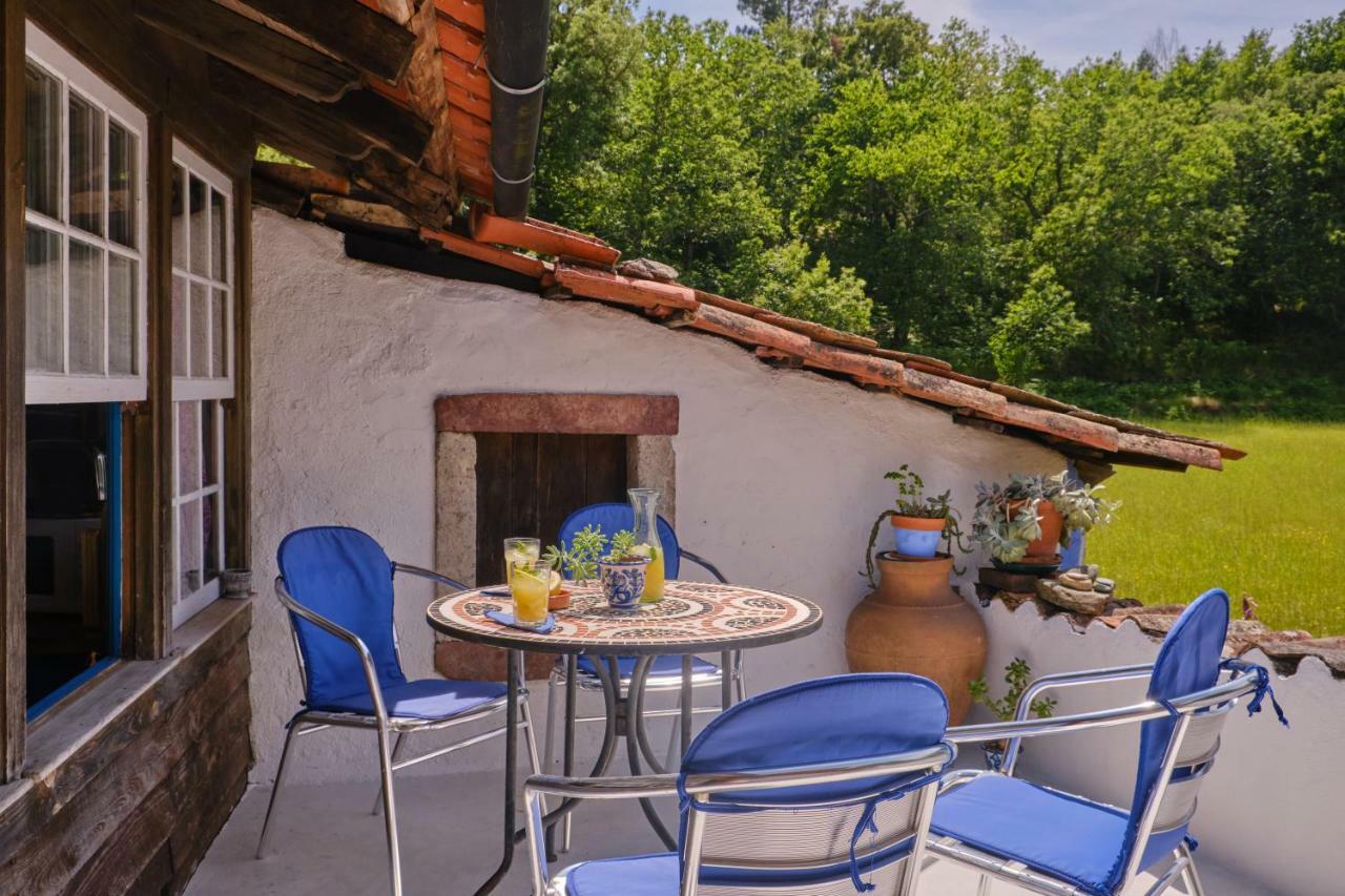 A Charming , Traditional Cottage At Quinta Da Ribeira Vila Nova de Poiares Extérieur photo